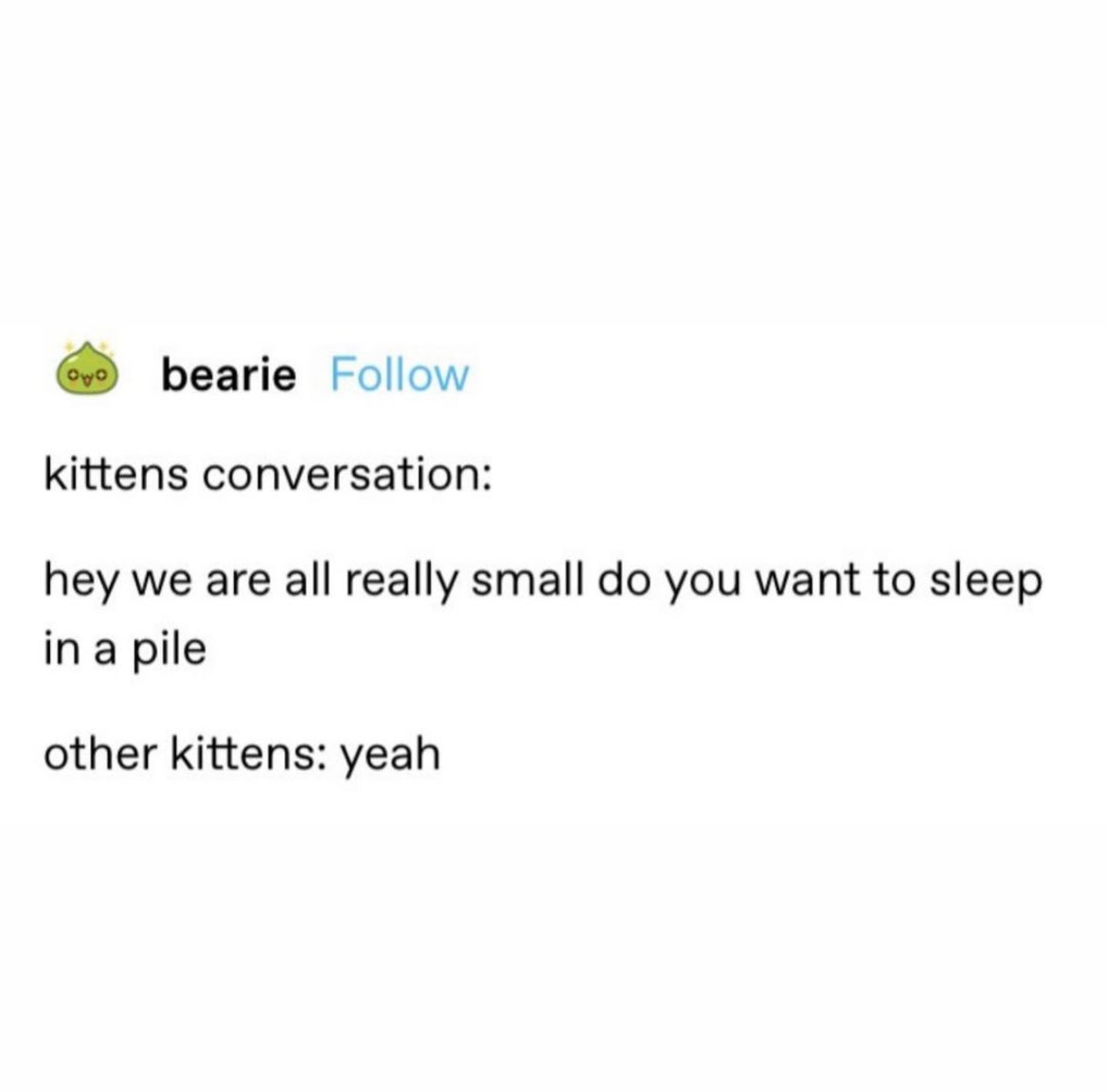 lined cats (@linedcats) on Twitter photo 