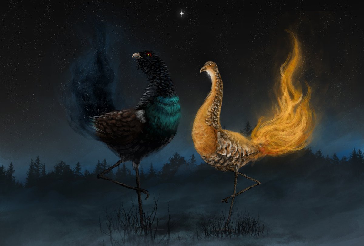batterychugger's tweet photo. Phoenix of Night and Day.
#WilloftheWisp https://t.co/ohTrsvbrrz