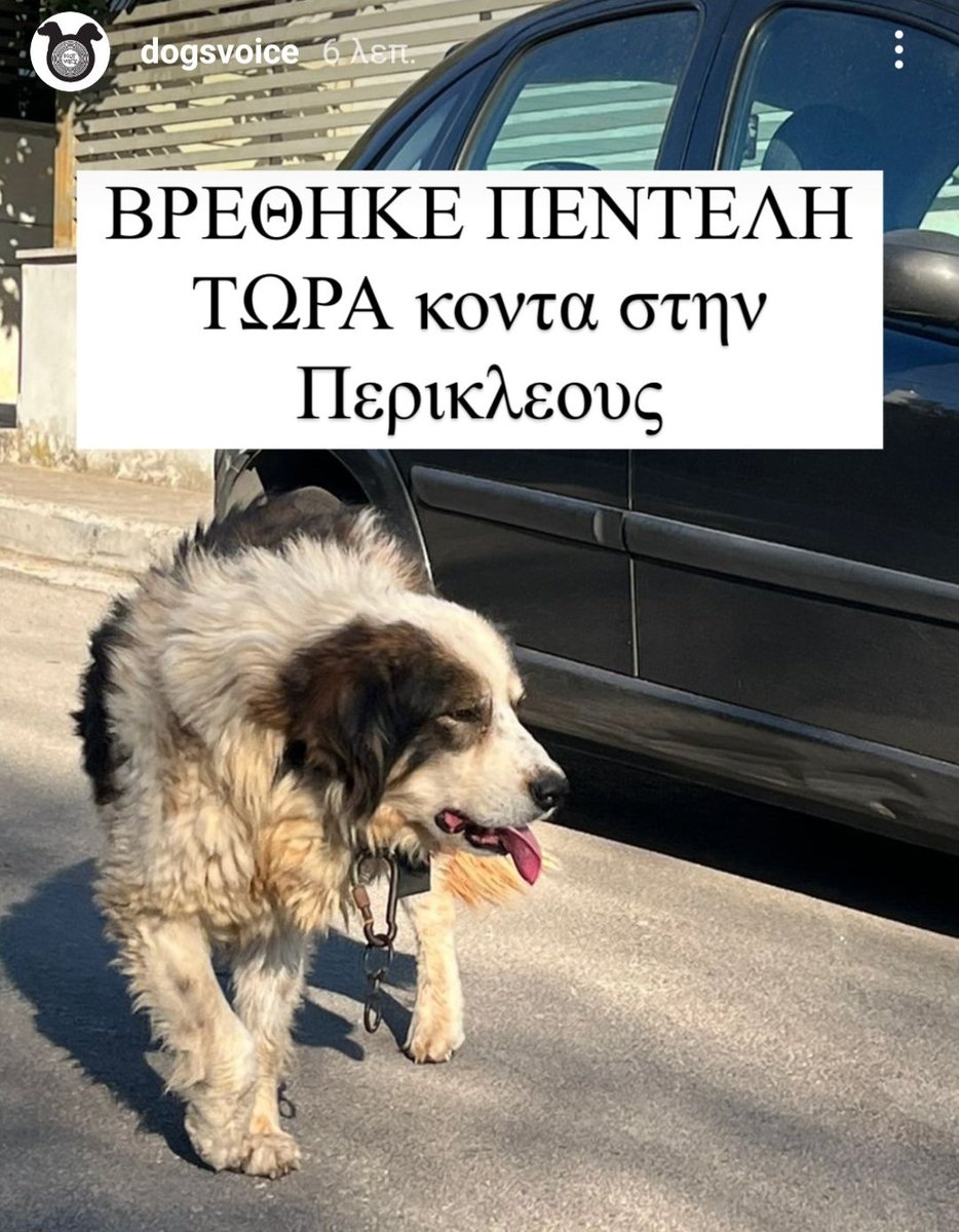 Chrisafina1's tweet photo. #φωτιά 
#Βρέθηκε τώρα στην #Πεντέλη. https://t.co/NmQUYCMpjO