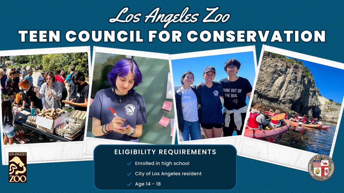 LAZoo's tweet photo. 📢 L.A. Zoo Teen Council for Conservation is now accepting applications for 2024-2025! 🌟 Teens from LA interested in animals, conservation, and community—apply now! 🤝🏙️🦒 Details: https://t.co/mRtUZRLYQ9 https://t.co/isV8ZDRnNT
