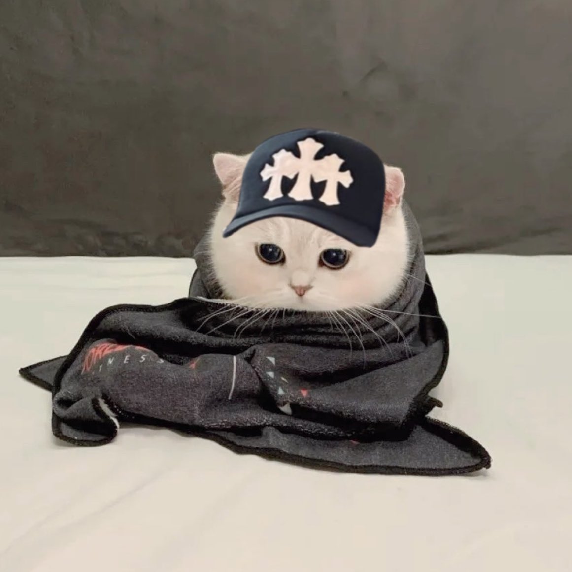 mybubutygie's tweet photo. ดักแด้เหมี๊ยวอู้ดดดดด≽^ ◕🐽◕ ^≼🍼💬 https://t.co/bcH5dvYSWu