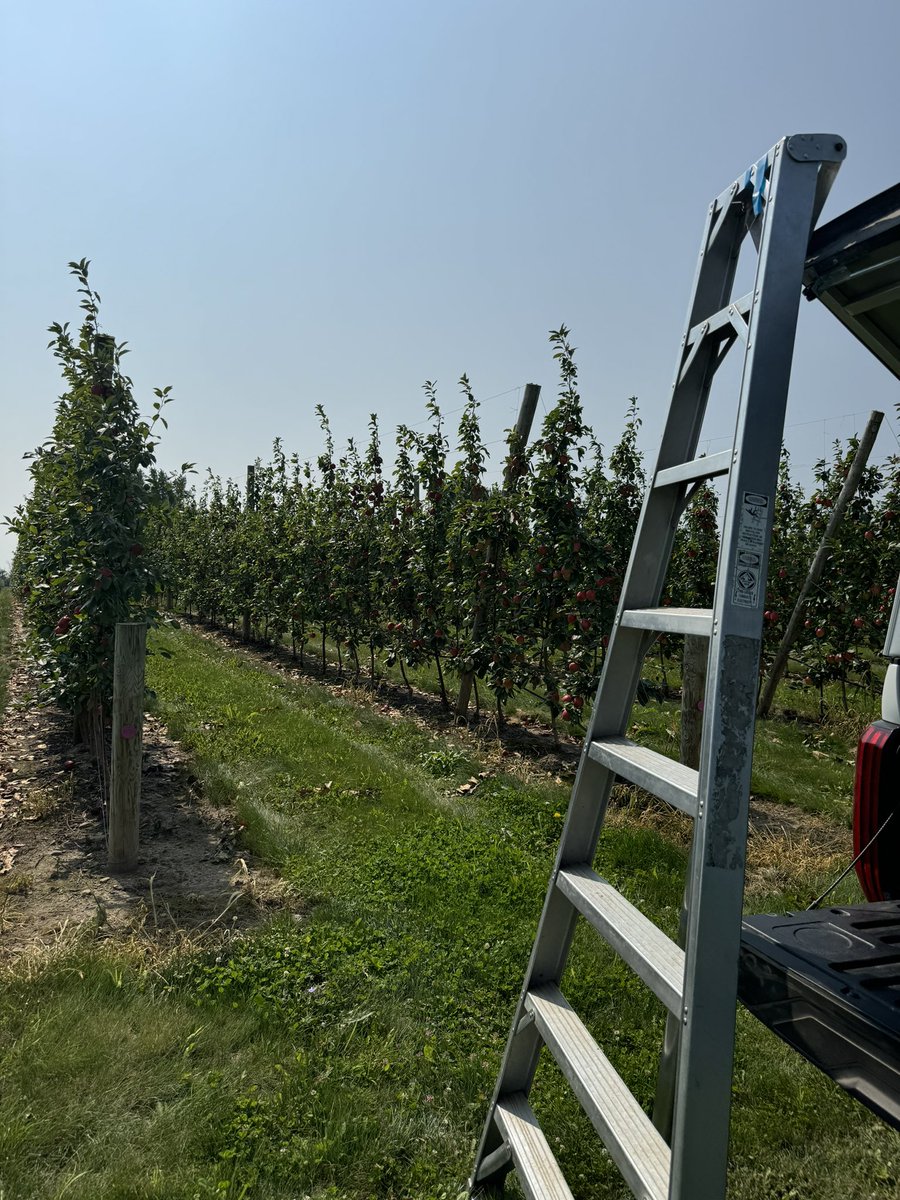 we made it to harvest!!!