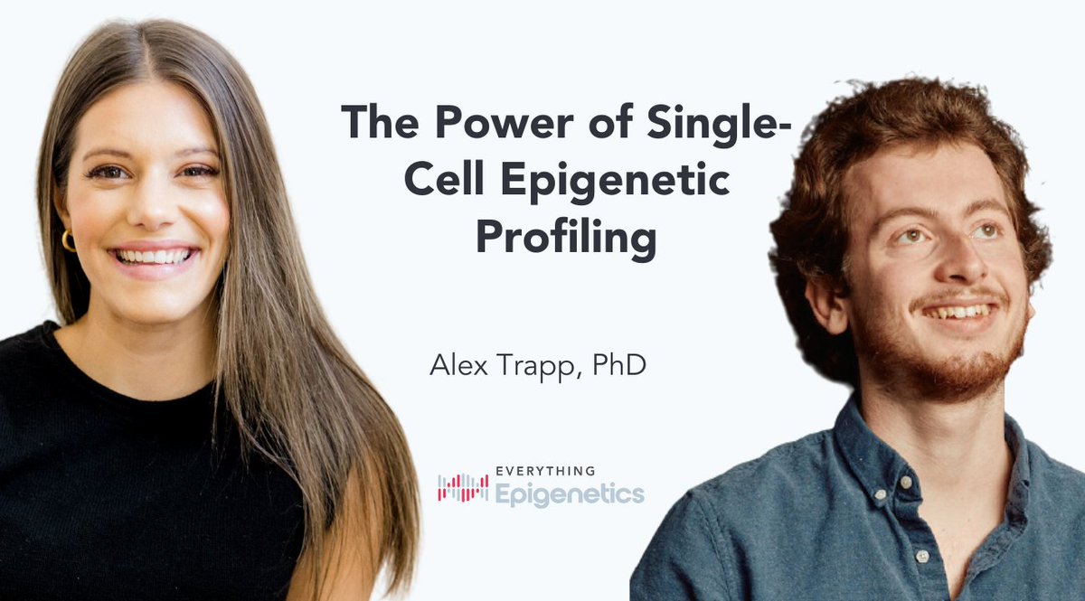Hannah Went (@everythingepi) on Twitter photo Season 2, Episode 7 - The Power of Single-Cell Epigenetic Profiling with <a href="/AlexandreTrapp/">Alex Trapp</a>
We explore the cutting-edge development of single-cell epigenetic clocks and their potential applications in the field of longevity science.
Episode here - open.spotify.com/episode/24Oy7Q… Season 2, Episode 7 - The Power of Single-Cell Epigenetic Profiling with <a href="/AlexandreTrapp/">Alex Trapp</a>
We explore the cutting-edge development of single-cell epigenetic clocks and their potential applications in the field of longevity science.
Episode here - open.spotify.com/episode/24Oy7Q…
