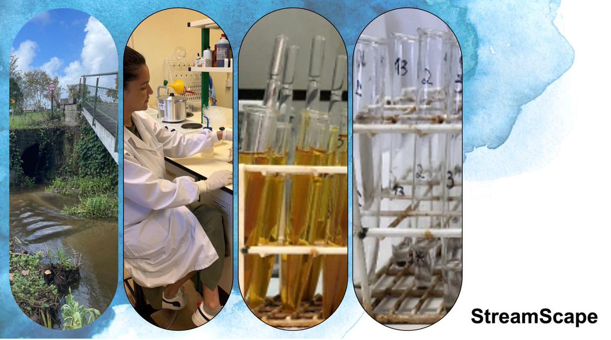 StreamScape project (<a href="/MSCActions/">Marie Skłodowska-Curie Actions</a>) began at university of Aveiro.