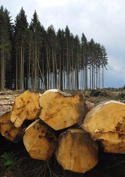 Circular Bioeconomy Research Group (@circbio) on Twitter photo 📣<a href="/MainstreamBIO/">MainstreamBIO Project</a>'s #Irish Open Call is now open until 31st of August 2024
🚢Are you involved in a #forestry #biobased project (or in any other part of the #bioeconomy) and would like to #upscale? Apply now!
👉 For more information see our website circbio.ie/news/mainstrea…
@CBC_SW 📣<a href="/MainstreamBIO/">MainstreamBIO Project</a>'s #Irish Open Call is now open until 31st of August 2024
🚢Are you involved in a #forestry #biobased project (or in any other part of the #bioeconomy) and would like to #upscale? Apply now!
👉 For more information see our website circbio.ie/news/mainstrea…
@CBC_SW
