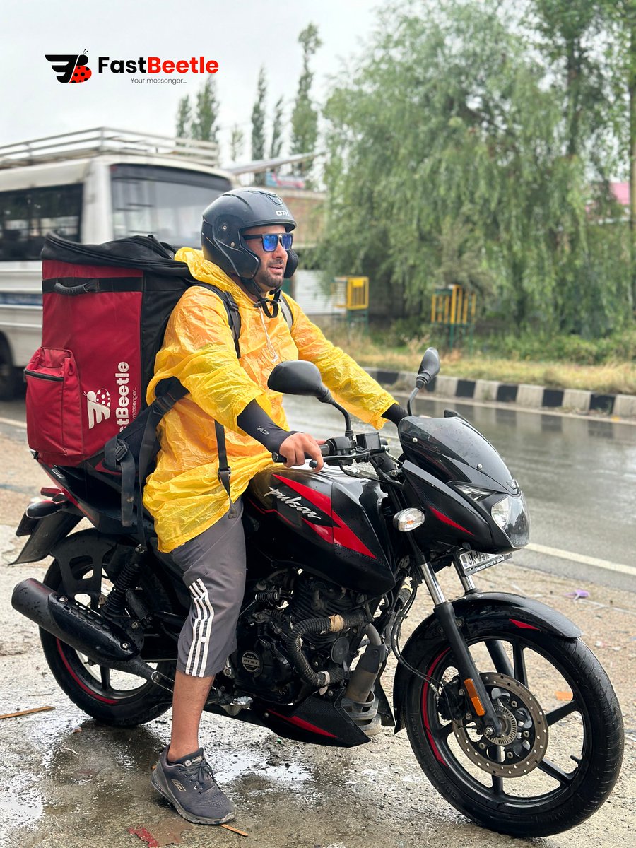 FastBeetle tweet media