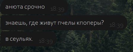 mcgospodi's tweet photo. Сегодня меня убили https://t.co/XeEWZqt4qK