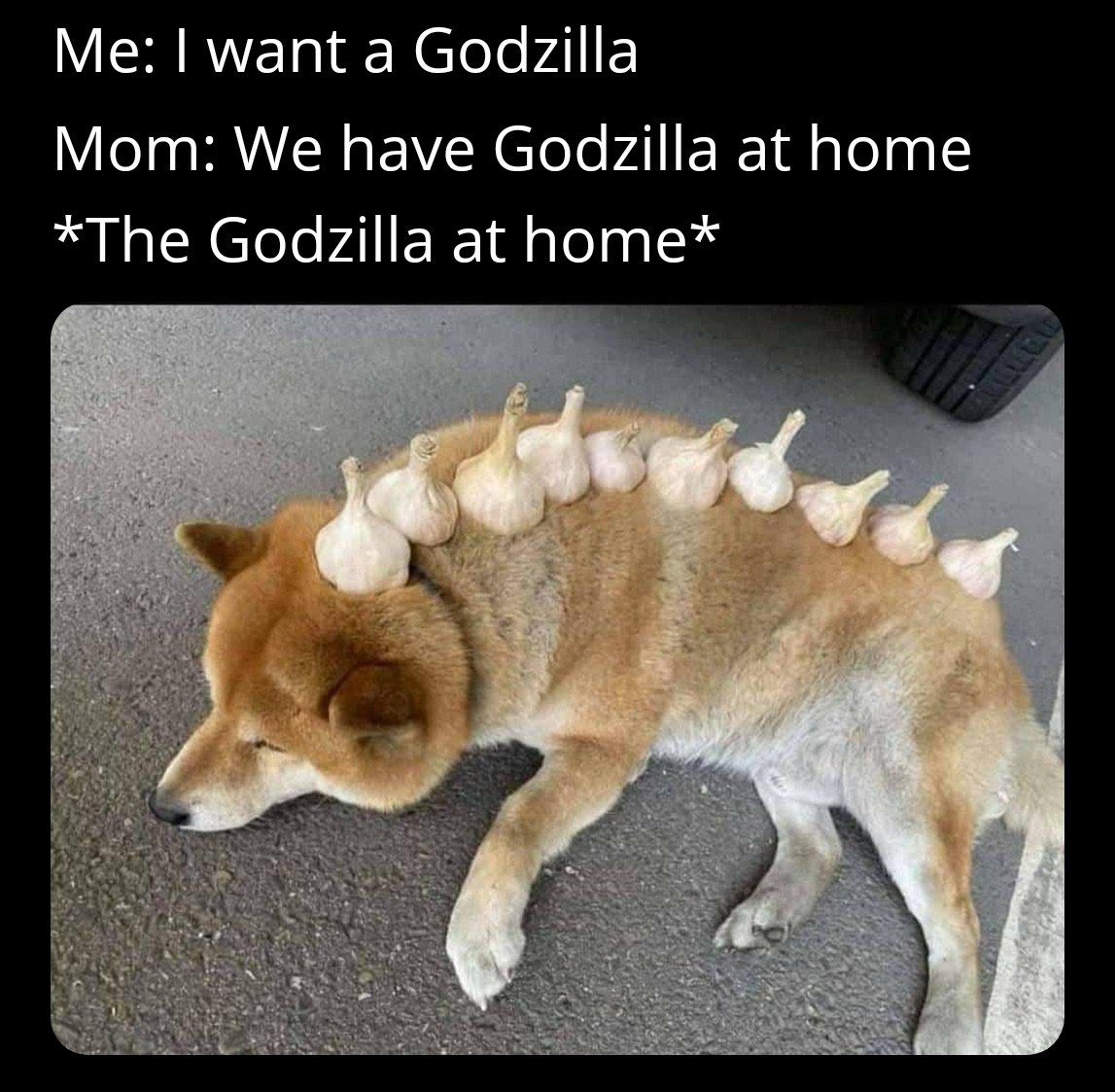 Landsxyz's tweet photo. @getslothy Today is the day also for $Zilla

Im still hodl my bags and push it to become next $wDOG

Work for your bag https://t.co/WXgPgjei0o