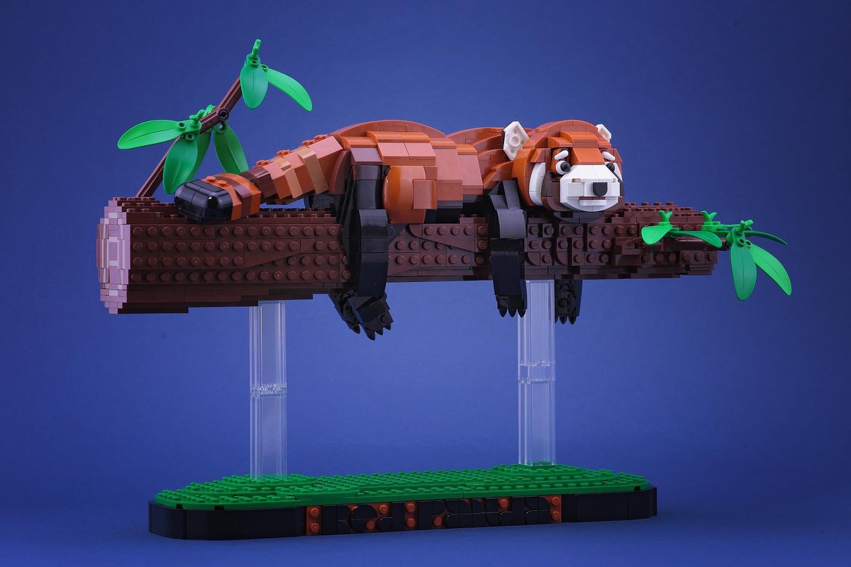 IanHou2's tweet photo. Sleep is my super power
#LEGO #樂高 #DOGOD #lego_ianhou #Taiwan #legoanimals #legocreator #legomoc #legoart #legobricks #panda #legoideas #redoanda #tree
IG : https://t.co/AlFTKH0MNP
flickr : https://t.co/FO2v4Oh6aR https://t.co/vCQVbiAhoH