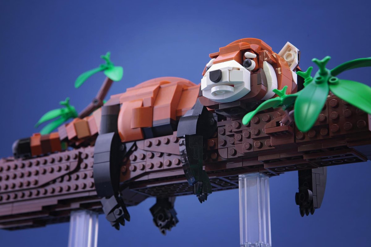 IanHou2's tweet photo. Sleep is my super power
#LEGO #樂高 #DOGOD #lego_ianhou #Taiwan #legoanimals #legocreator #legomoc #legoart #legobricks #panda #legoideas #redoanda #tree
IG : https://t.co/AlFTKH0MNP
flickr : https://t.co/FO2v4Oh6aR https://t.co/vCQVbiAhoH