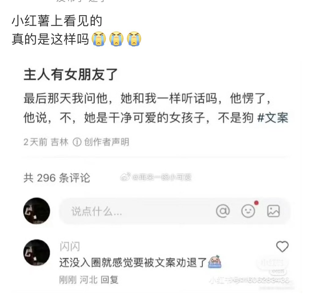 tanshuizhongji1's tweet photo. 神经，到底是谁在把这种骚屌子当香饽饽？ https://t.co/PVwbsGAVX3