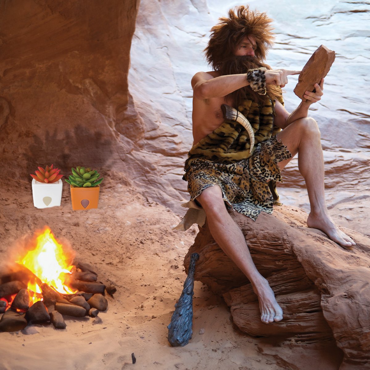 ZendoZones's tweet image. ZendoZones® Fruit Fly Traps. The best thing since the invention of the wheel.
#FruitFlyControl #FruitFlySolution #PestControl