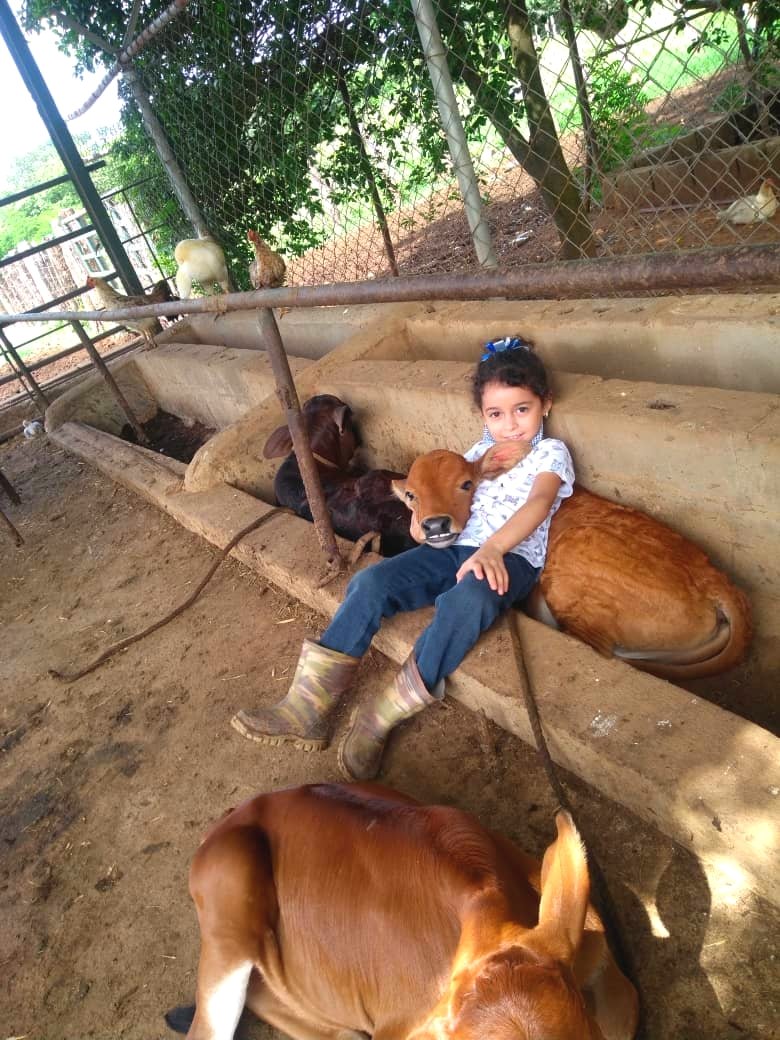 FMAHOMOS's tweet image. Desde la oficina 

Bendecido jueves tengan todos