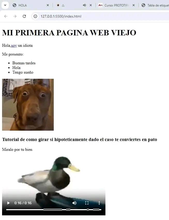 Una hormiga que mira tu post 🐜 (@hormiga_returns) on Twitter photo 