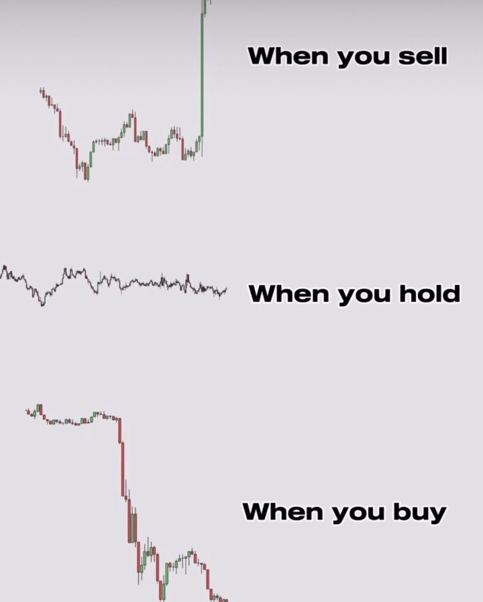 TheManeCat's tweet photo. Solana meme coin traders know how this feels… https://t.co/x4Fq8RkxK1