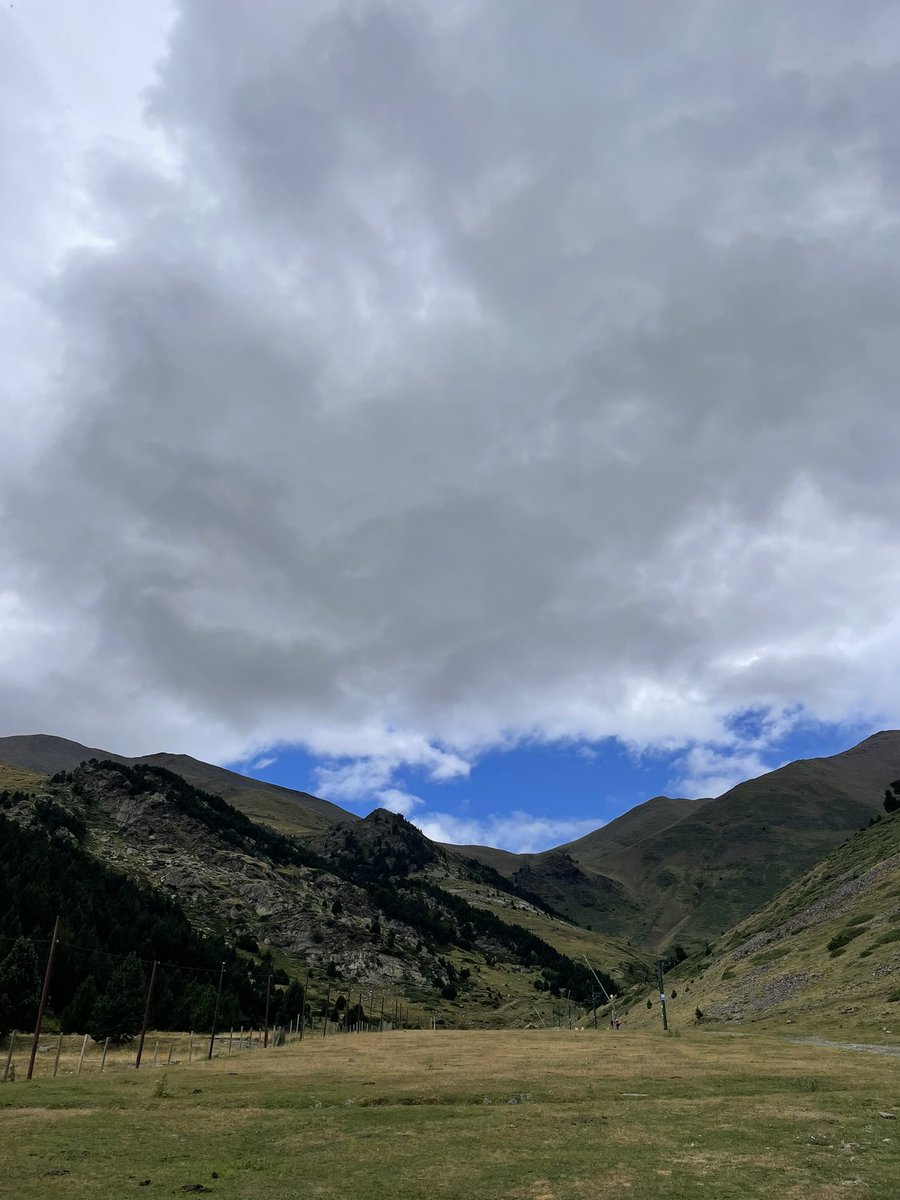 baronuria21's tweet photo. I avui hem pujat a la #ValldeNúria 🌷 per capturar la seva riquesa natural abans no arribessin els xàfecs de tarda 🌧️ https://t.co/qslQGxjtHc