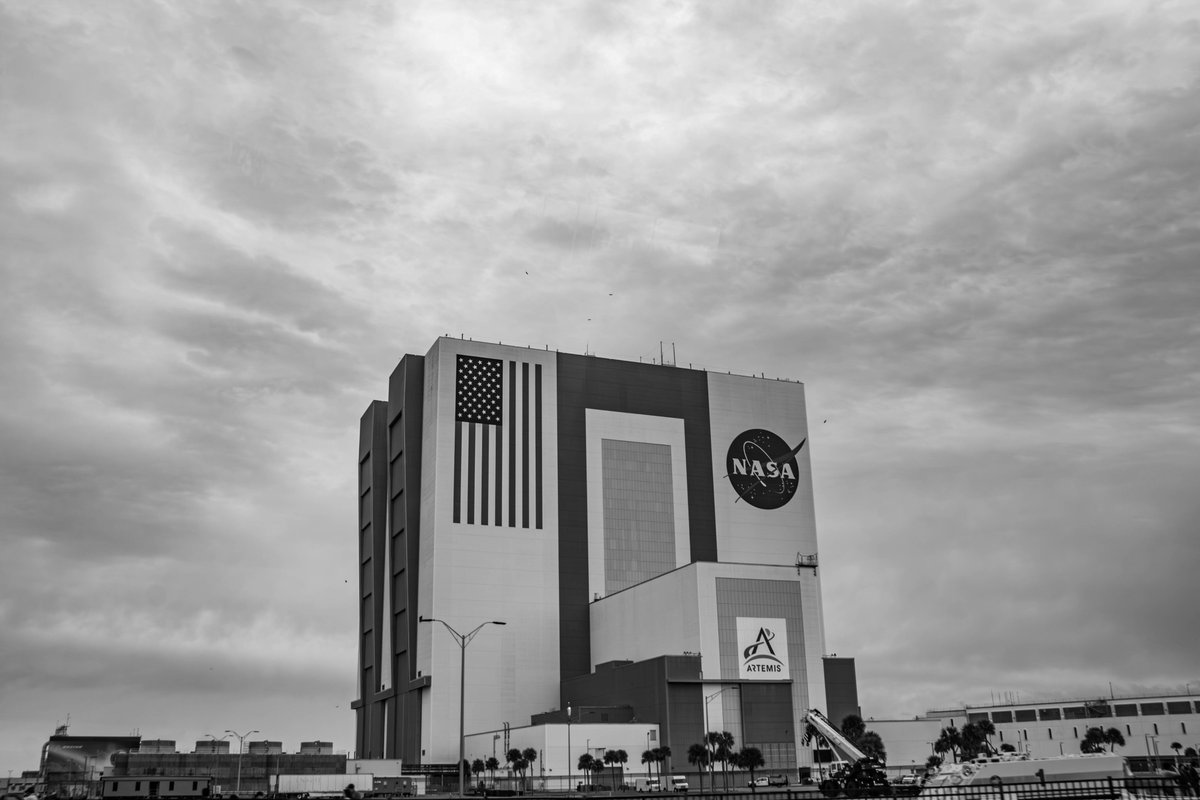 Adrian Golemis tweet media