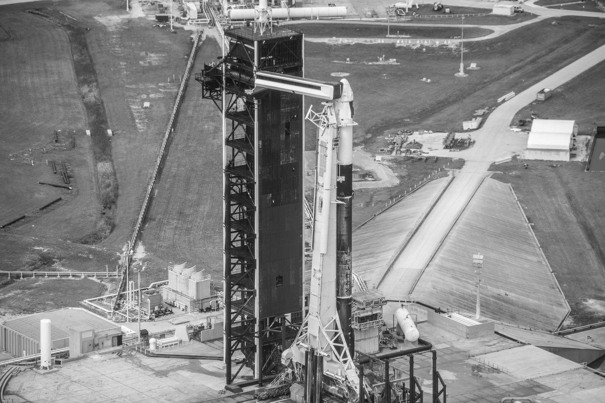 Adrian Golemis tweet media