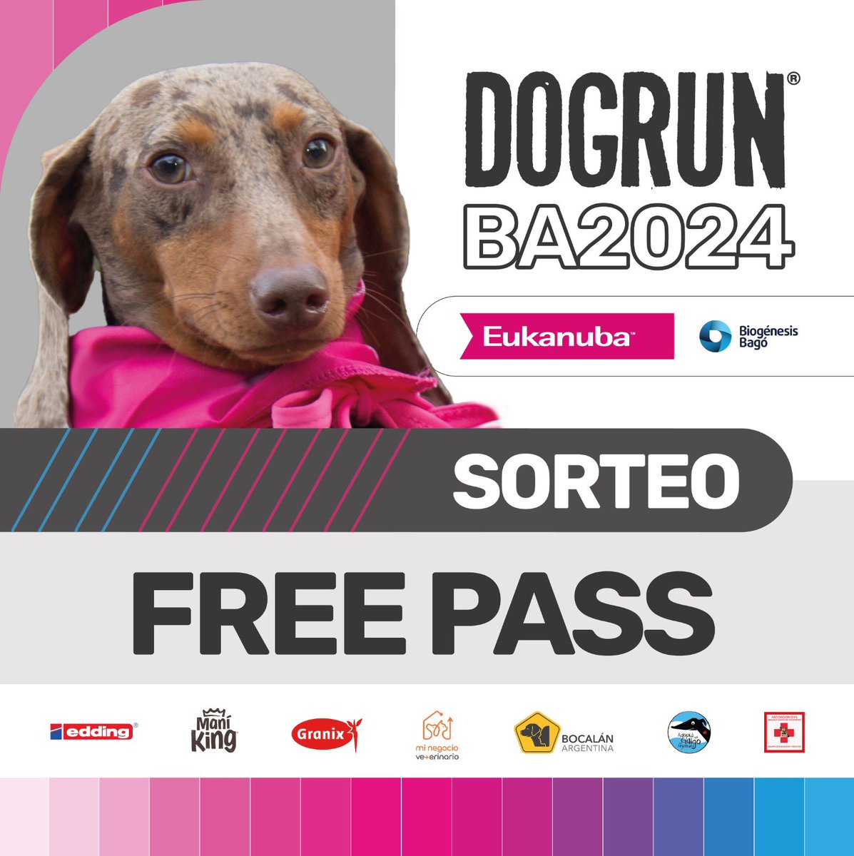 Nuevo sorteo ! Gana Fer pass DOGRUN 2024 
Participá aquí 👉🏻 instagram.com/p/C-scsJHReaz/…

<a href="/EukanubaAr/">Eukanuba Argentina</a>  <a href="/biogenesisbago/">Biogénesis Bagó</a> <a href="/eddingArg/">edding Argentina</a> <a href="/BocalanArg/">BocalanArgentina</a> <a href="/AdoptaUnGalgo/">Adopta Un Galgo en Argentina</a> <a href="/aceccargentina/">ACECC</a> <a href="/canal_vet/">CanalVET</a> <a href="/pmotivar/">Periódico MOTIVAR</a>