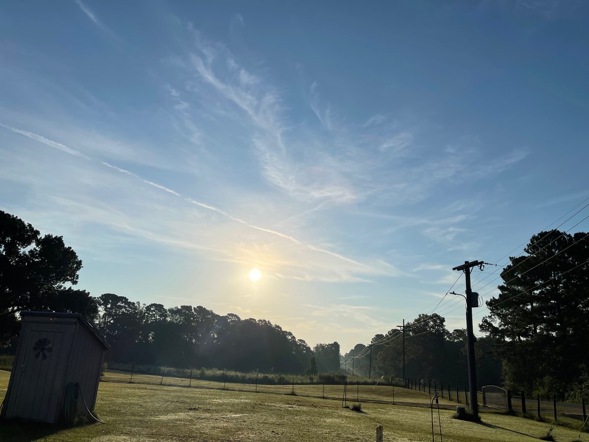 11loveGod11's tweet image. Another day of blocking the sun. Toxic metals and chemicals once again fill the sky and our lungs. #chemtrails #BlockingTheSun #Engineered #Toxic #LookUp #Texas #sky #Evil #GeoEngineering