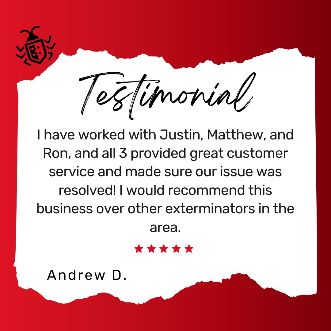 PalmettoExandMC's tweet image. Thank you, Andrew. We truly appreciate your kind words and for choosing Palmetto Exterminators. 

#pestcontrol #localexterminator #palmettoexterminators #homepestcontrol #residentialpestcontrol #termitecontrol #mosquitocontrol