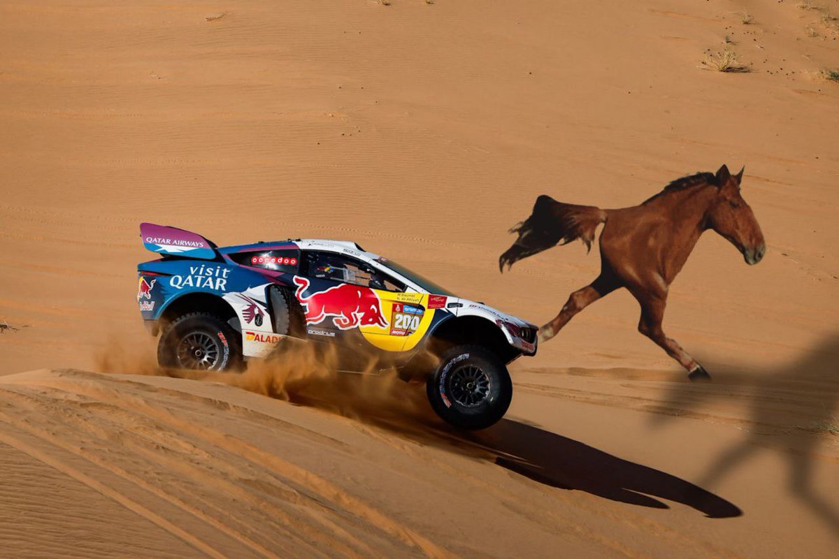 1_danib's tweet image. The 1/2 🐴 $horse community will not stop running