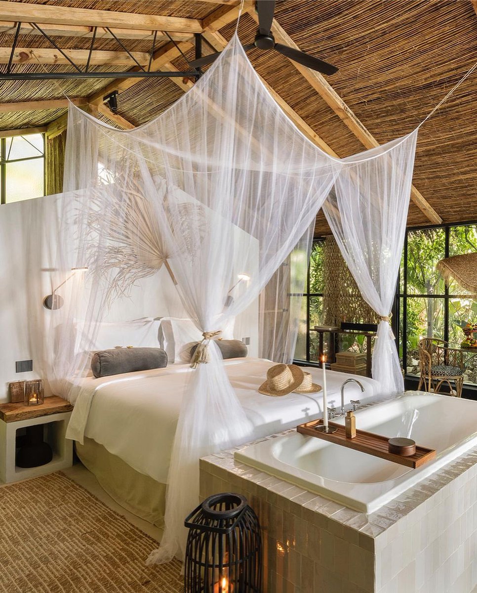 TopWorldHotel's tweet photo. A gateway to Portugal's serene countryside, Salvaterra Country House &amp; Spa is a tranquil retreat where modern luxury meets nature, offering lush tropical gardens, private terraces, and authentic Ribatejo cultural experiences.

https://t.co/RUWnwCDZb4

#TopWorldHotel #Ribatejo https://t.co/z3uNi5NdIg