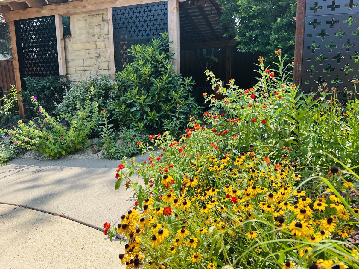 While visiting a client’s property, I couldn’t help but pause to admire this stunning perennial garden. It’s a reminder not to get too caught up in the hustle and miss the beauty of nature.

#EcoFriendlyLandscaping #GreenSpacesDallas #DallasLawnService #OrganicGardeningDallas