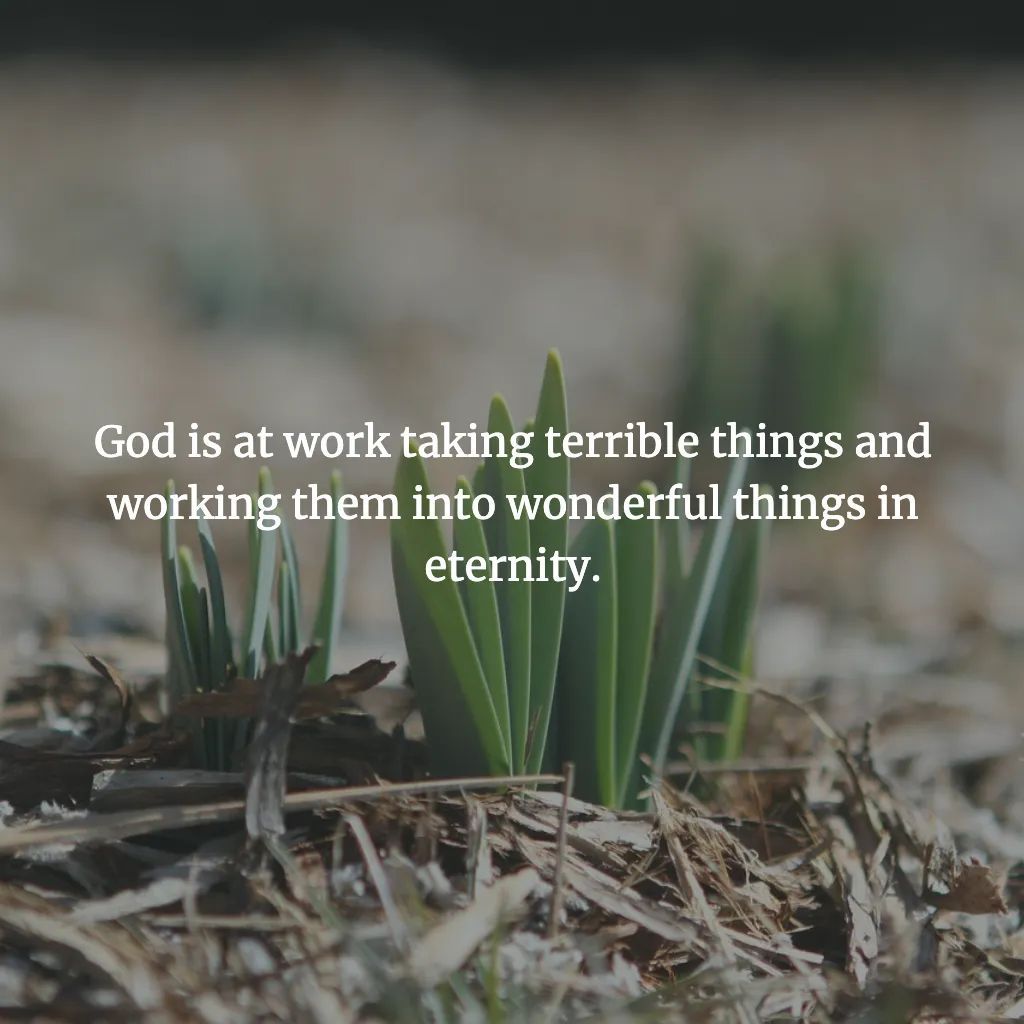 WindermerePres's tweet photo. God is at work taking terrible things and working them into wonderful things in eternity. Learn more on this through the word of God preached in this sermon video:  https://t.co/v2Clnrgj3W https://t.co/m21fNTR8Qv