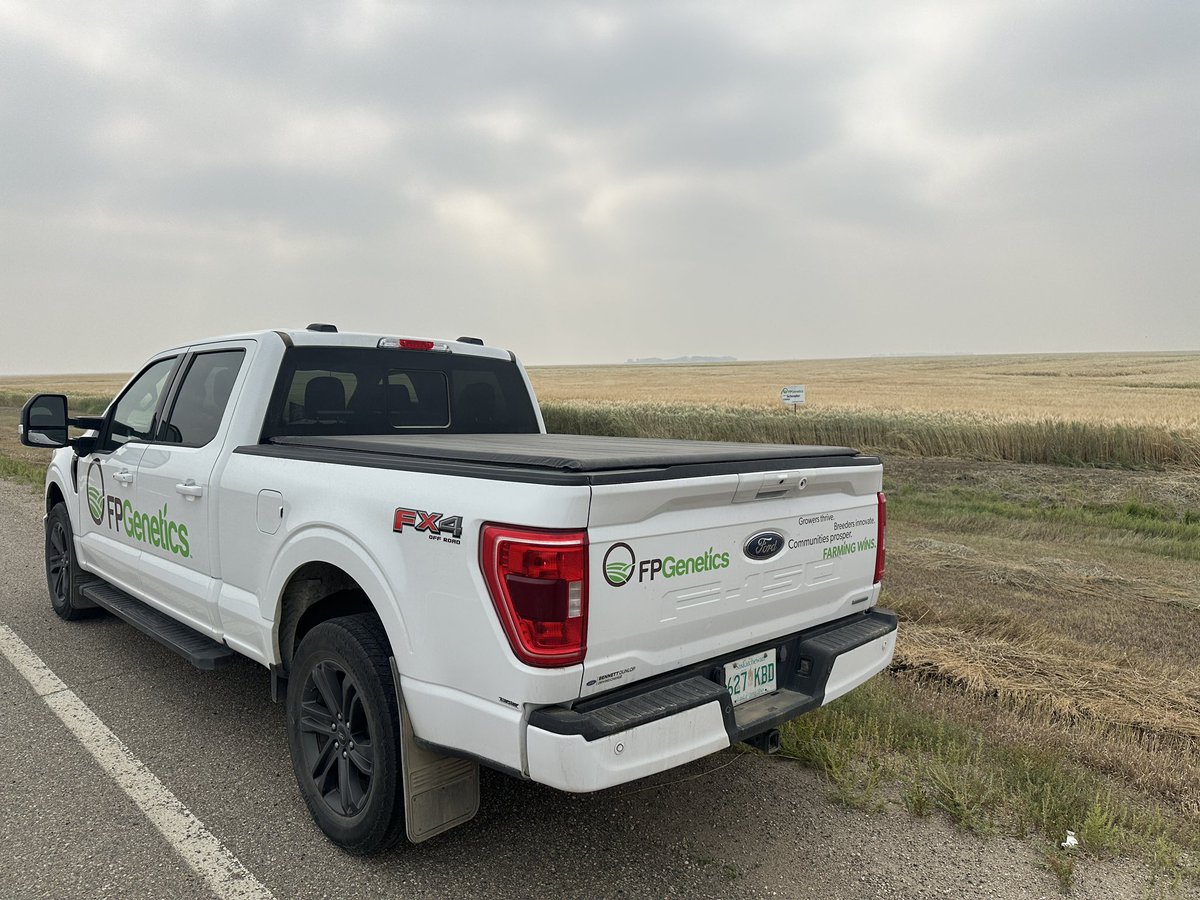 Cordon Geisam tweet media