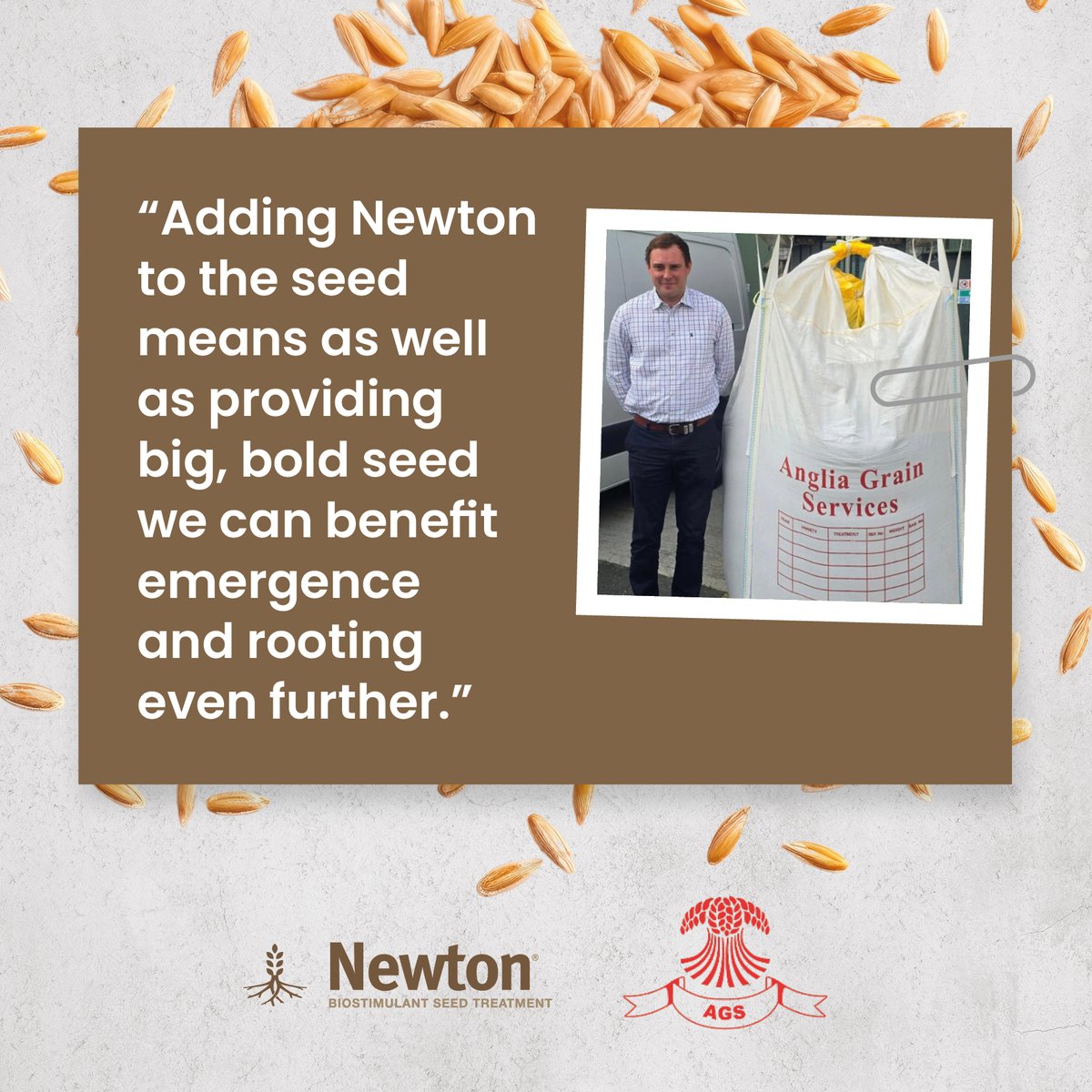 NichinoUK's tweet image. Choosing the right seed and giving it the best possible start is key to above par establishment… and overall yield/quality.

Matt Pickard @AngliaGrainSeed explains in our latest #PushingPerformance feature with @cpm_magazine. 🧐
 
 Find out here bit.ly/3YMyxa2
