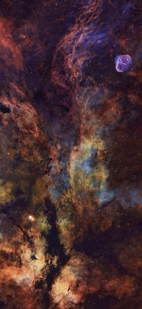 AJamesMcCarthy's tweet image. Using a tiny telescope, I spent 30 hours shooting the Cygnus constellation to reveal this incredible vista of emission nebulae. There’s so much going on in our Milky Way! 

This is formatted as a mobile wallpaper, enjoy! I’ll post another tomorrow.