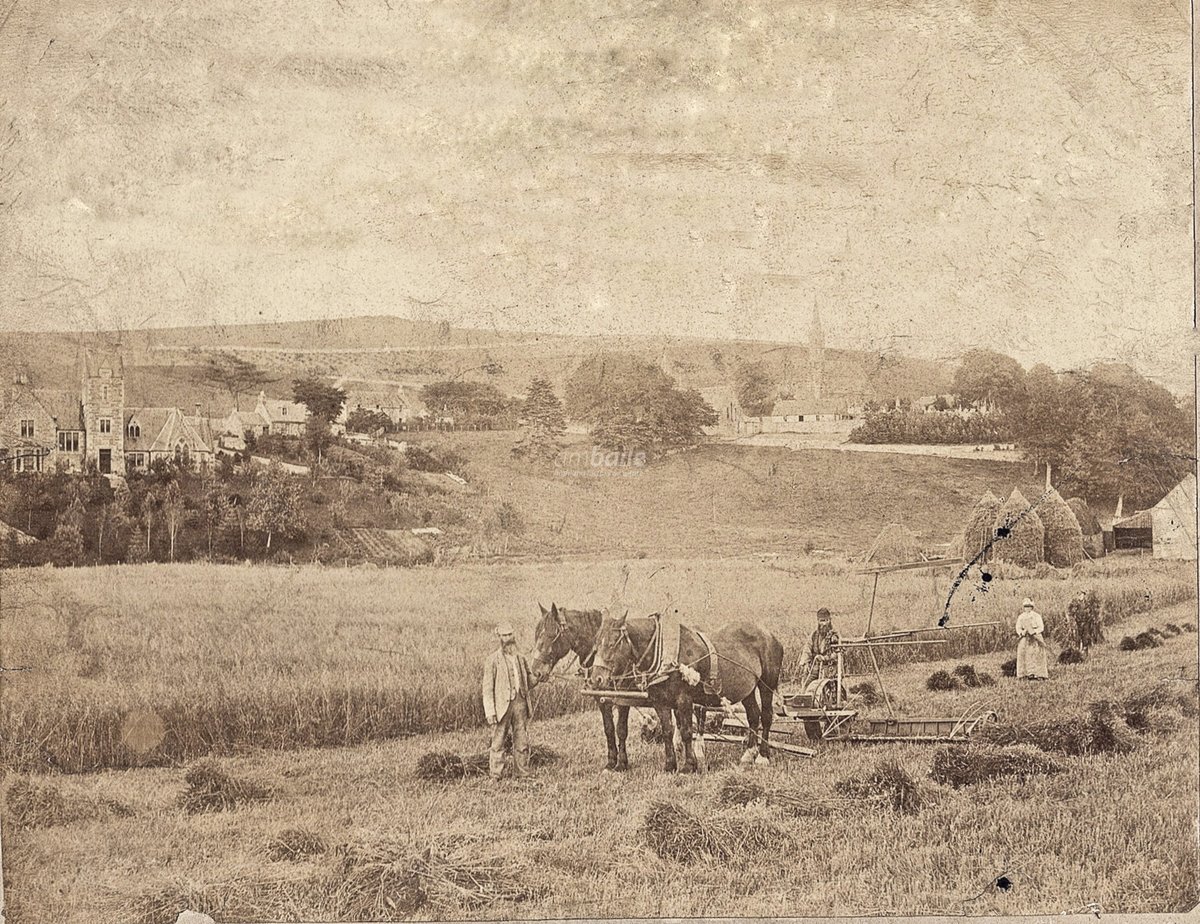 HighlandHistory's tweet photo. Harvest time at #Avoch

[photo courtesy of Jim Leslie] https://t.co/UDFkuKPJ5Q