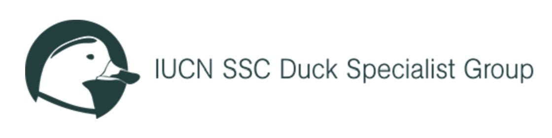 Kane Brides tweet media