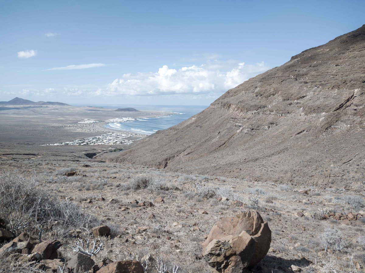 GeologistsCat's tweet image. Today is #VolcanoThursday &amp;amp; I show you again a picture from #Lanzarote. During exhausting #hedgewatch my humans saw this. In the front a #VolcanicBomb, in the rigth a stack of #lava flows &amp;amp; in the far distance many #volcanoes 
#GeologyWithCats #geology #travel #nature #landscape