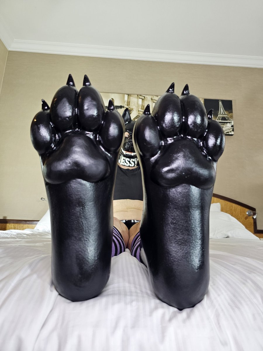 Jessy ⛓️🐾🎈 tweet media