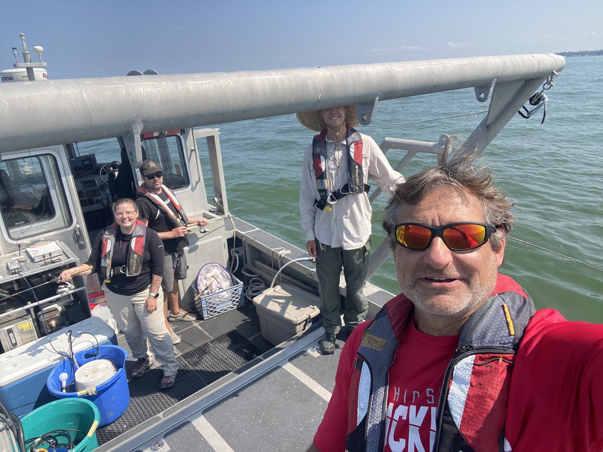 Kylee Wilson tweet media