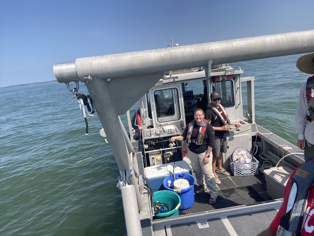 Kylee Wilson tweet media