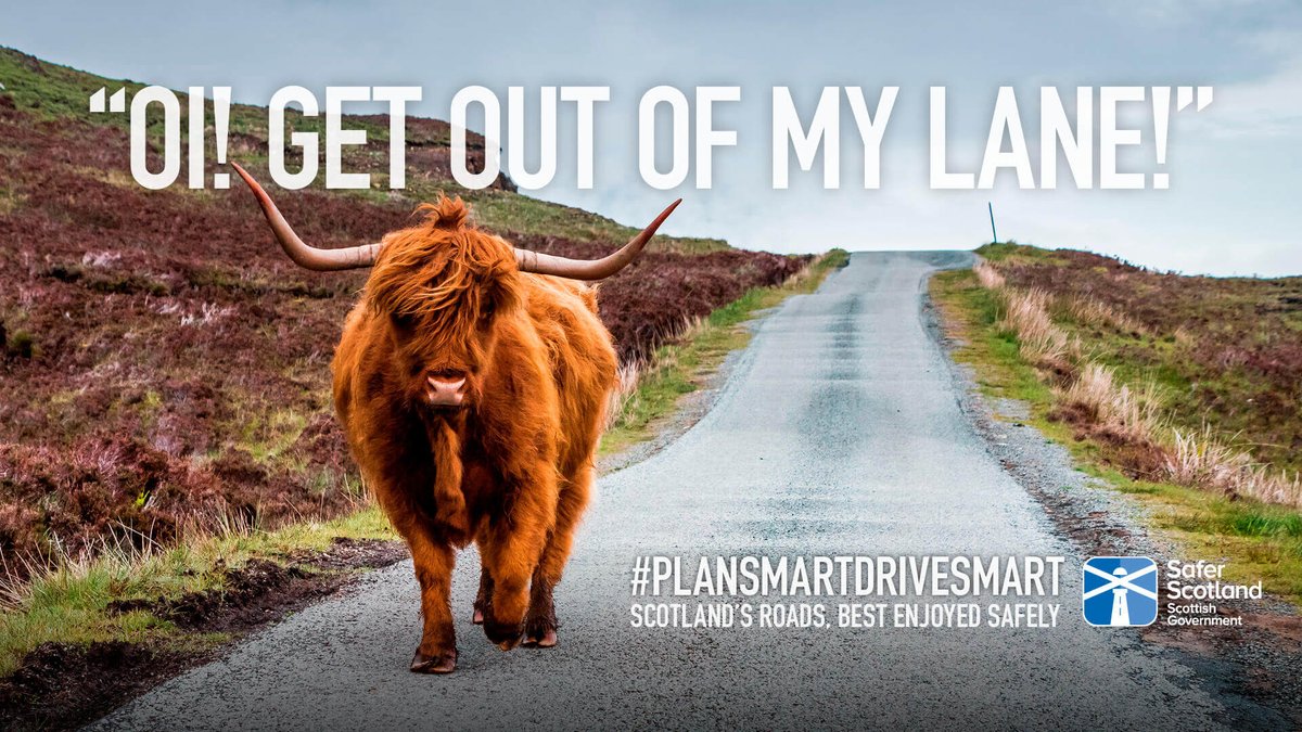 SWTrunkRoads's tweet photo. Prepare for the unexpected on Scotlandโs country roads this summer and look out for potential hazards including farm traffic, pedestrians, and animals. ๐๐ฃ๏ธ
#PlanSmartDriveSmart
๐ Find out more: https://t.co/F65gaaELtu
@trafficscotland @roadsafetyscot https://t.co/mZC0iLL6EO