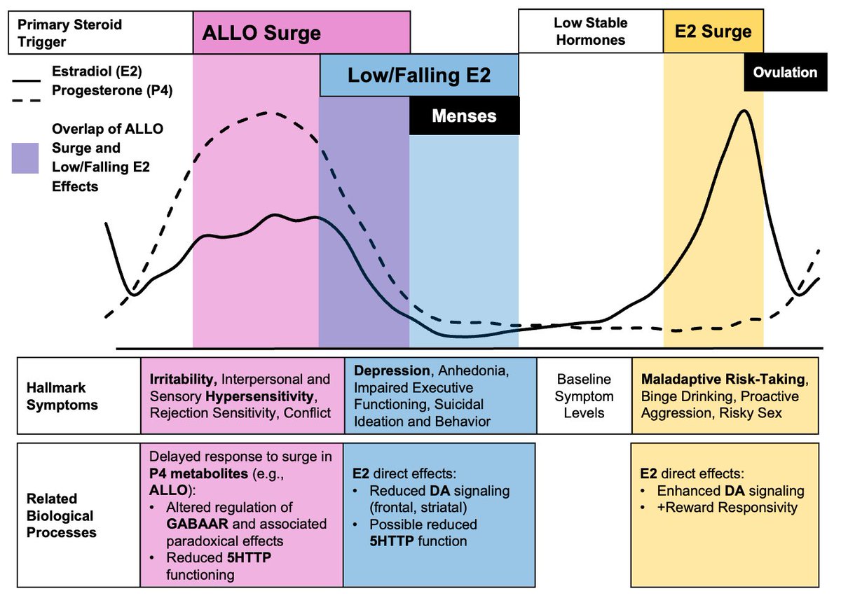 Jess Peters, PhD 🌈 (@jrpeters) on Twitter photo My and <a href="/eisenlohr_moul/">Tory Eisenlohr-Moul, PhD (CLEAR Lab)</a>'s Dimensional Affective Sensitivity to Hormones across the Menstrual Cycle (DASH-MC) framework has been published in <a href="/molpsychiatry/">molecularpsychiatry</a>! We aim to reshape how we study and treat #PMDD, #PME, and other forms of hormone sensitivity. 🧵
rdcu.be/dQYfU My and <a href="/eisenlohr_moul/">Tory Eisenlohr-Moul, PhD (CLEAR Lab)</a>'s Dimensional Affective Sensitivity to Hormones across the Menstrual Cycle (DASH-MC) framework has been published in <a href="/molpsychiatry/">molecularpsychiatry</a>! We aim to reshape how we study and treat #PMDD, #PME, and other forms of hormone sensitivity. 🧵
rdcu.be/dQYfU