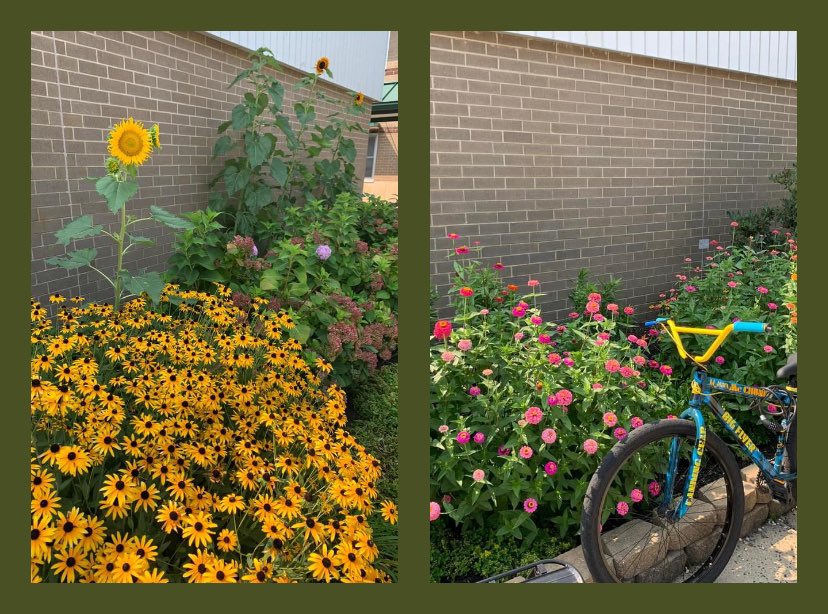 TarnowskiStang's tweet photo. It’s STILL summer, but those @BrickMemorialHS athletes, band kids and cheerleaders 🎷🗣️🏐⚽️🏈🏑🤸🏽‍♂️👟are starting to show up at school! https://t.co/YCYM9kKFhd