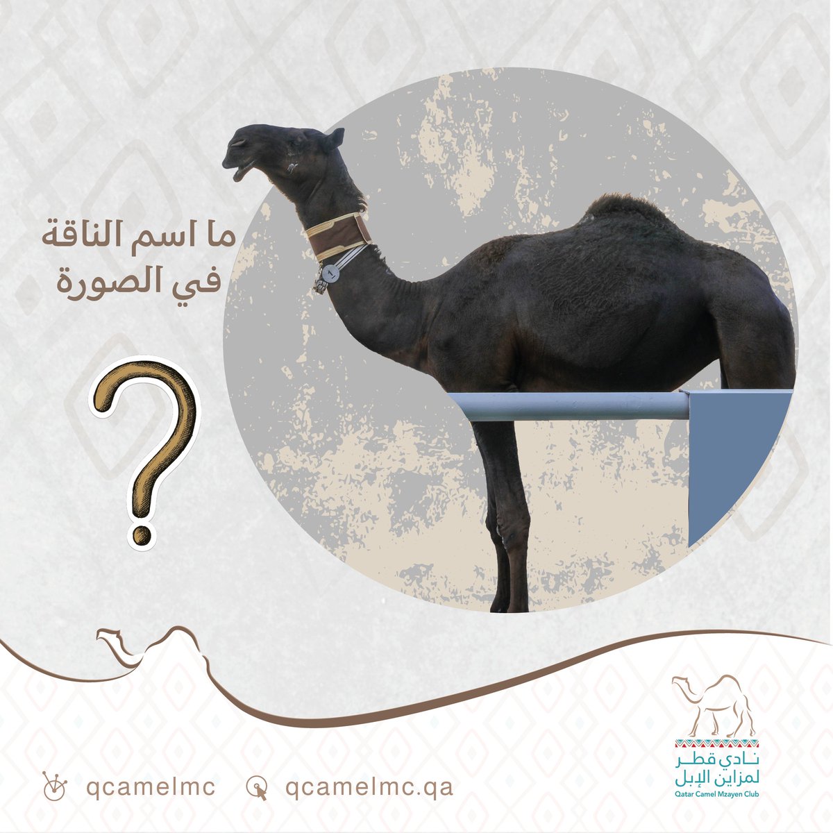 سؤال الأسبوع من #مسابقة_جزيلات_العطا

🧭 نستقبل الإجابات حتى يوم الإثنين 19 أغسطس

 ⬅️ اختيار الفائز عبر السحب في بث مباشر يتم الإعلان عن موعده نهاية الشهر الجاري.

🔴 ملاحظة: يتم اختيار الفائز بعد استيفاء جميع شروط المسابقة فقط.