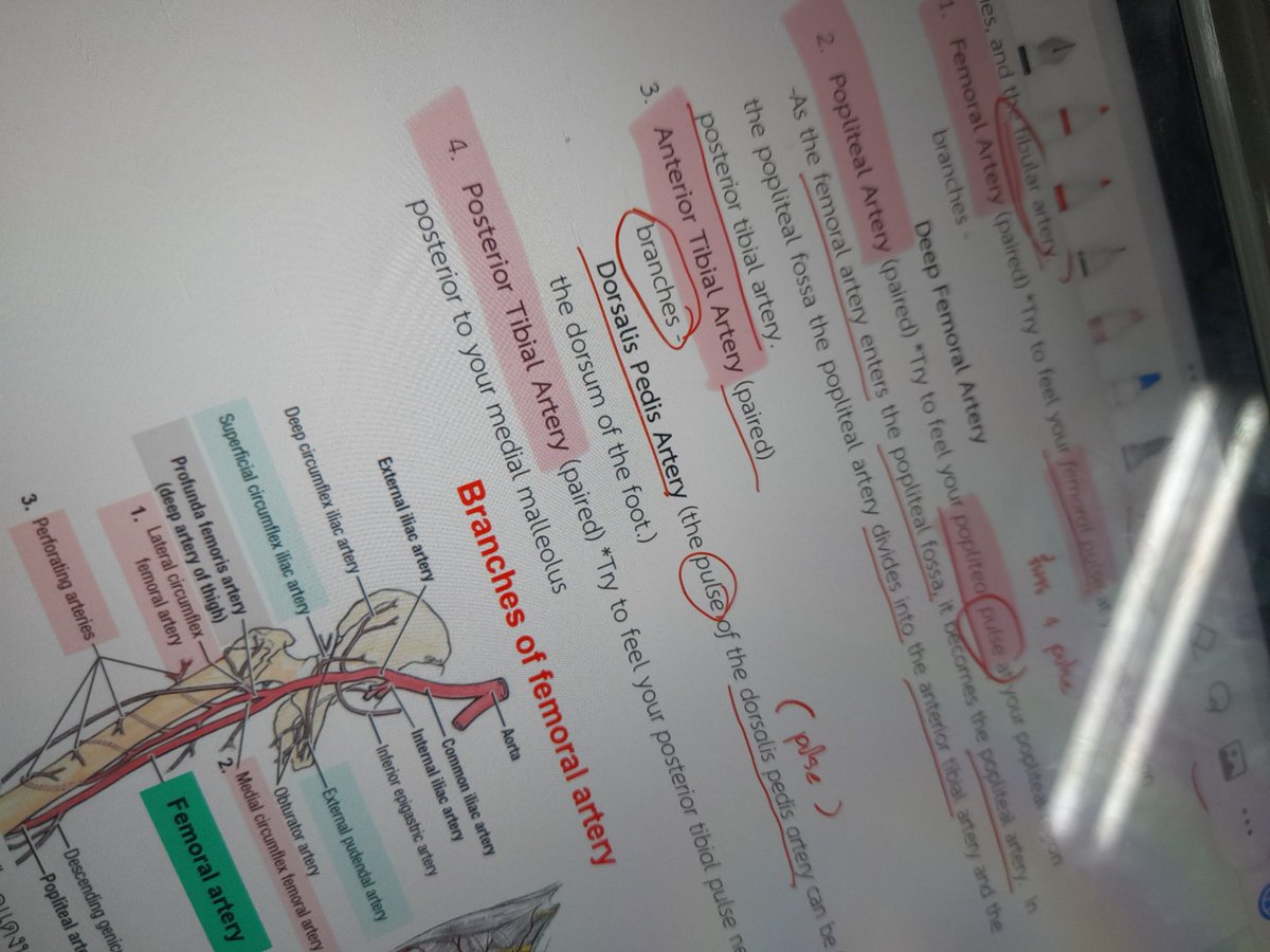 ต้า tweet media