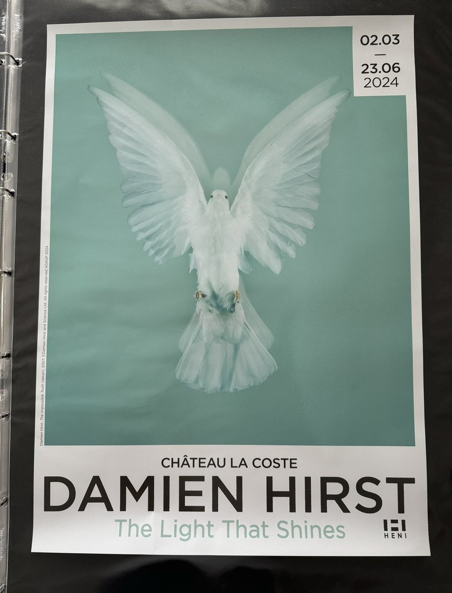 KriNFT's tweet photo. Love this dove 😀I really only have X because of @HENI so most of my appreciation on here goes to them 🤷♂️ today I wanna say THANK YOU for the stunning @hirst_official poster and @DamienHirst tote bag I won as part of a #HENIcommunity comp, I canny wait get it framed 👏 🖼️ 🕊️🤍 🙏 https://t.co/5lqhspdeNN