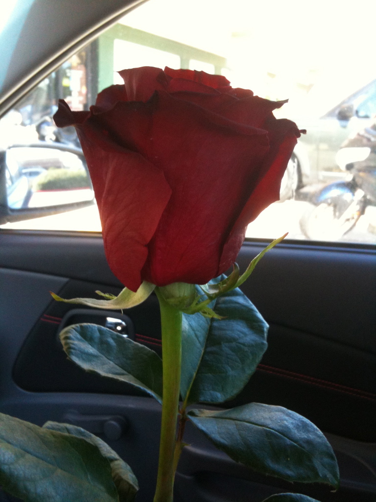 15 Years Ago Today <a href="/jnmobley/">Joelle Mobley</a> and I went on our first date. Basically a 6 hour coffee at Starbucks while they closed and we kept talking outside. Pretty sure we both knew about halfway in we were going to get married! Happy August 15th Day!! Love you <a href="/jnmobley/">Joelle Mobley</a>!