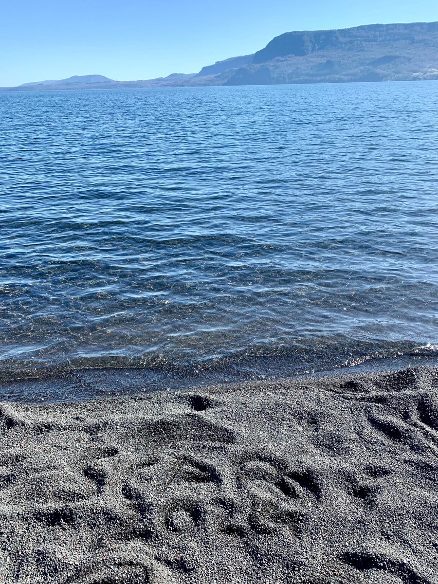 SCAR_Tweets's tweet photo. The SCAR Secretariat has now travelled to Pucón to prepare for #SCAR2024.  

We are pleased to report that the views from the venue are indeed phenomenal.  🌋
We can't wait to see many of you here!

https://t.co/lTbPirvH5L https://t.co/emgPwPlHHi