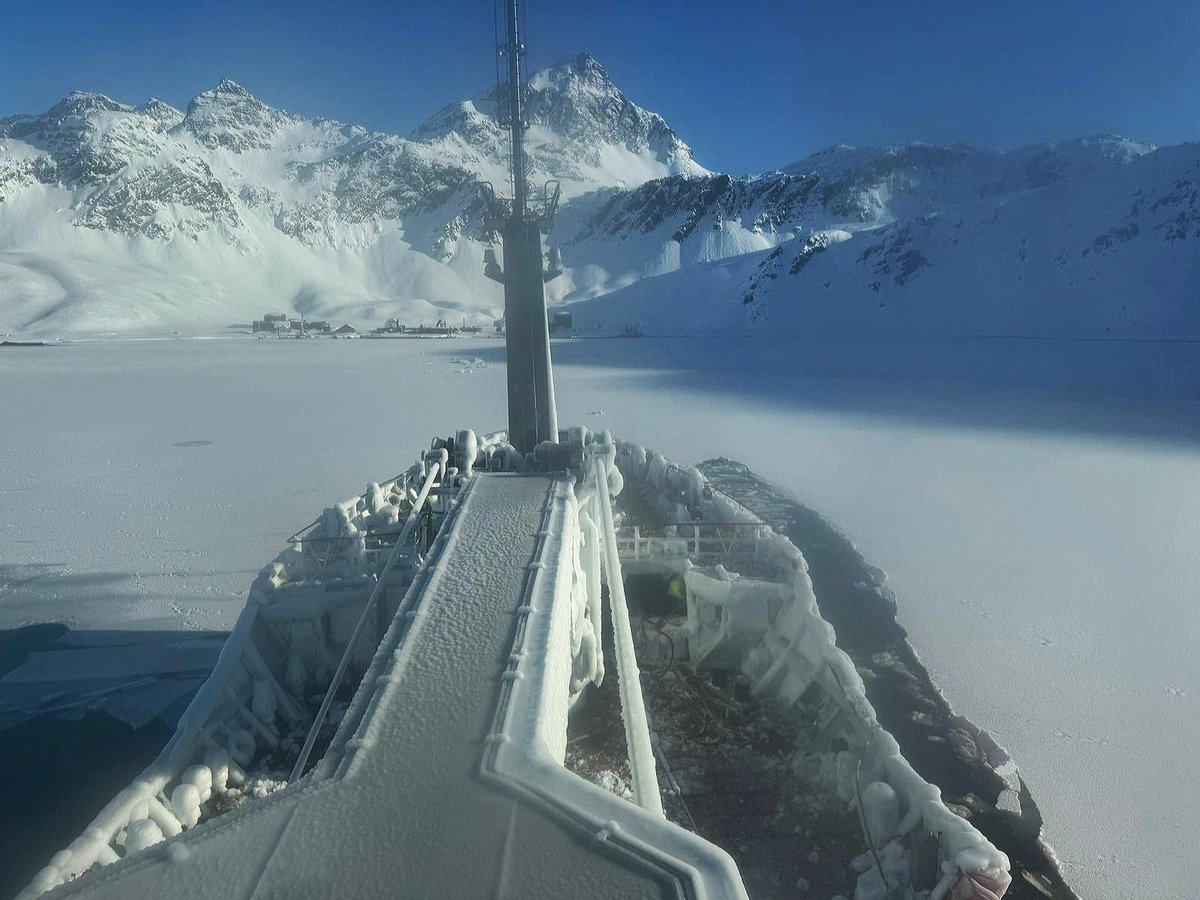 Navy Lookout tweet media