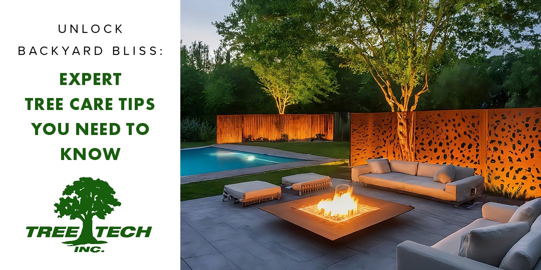 TreeTechInc tweet picture