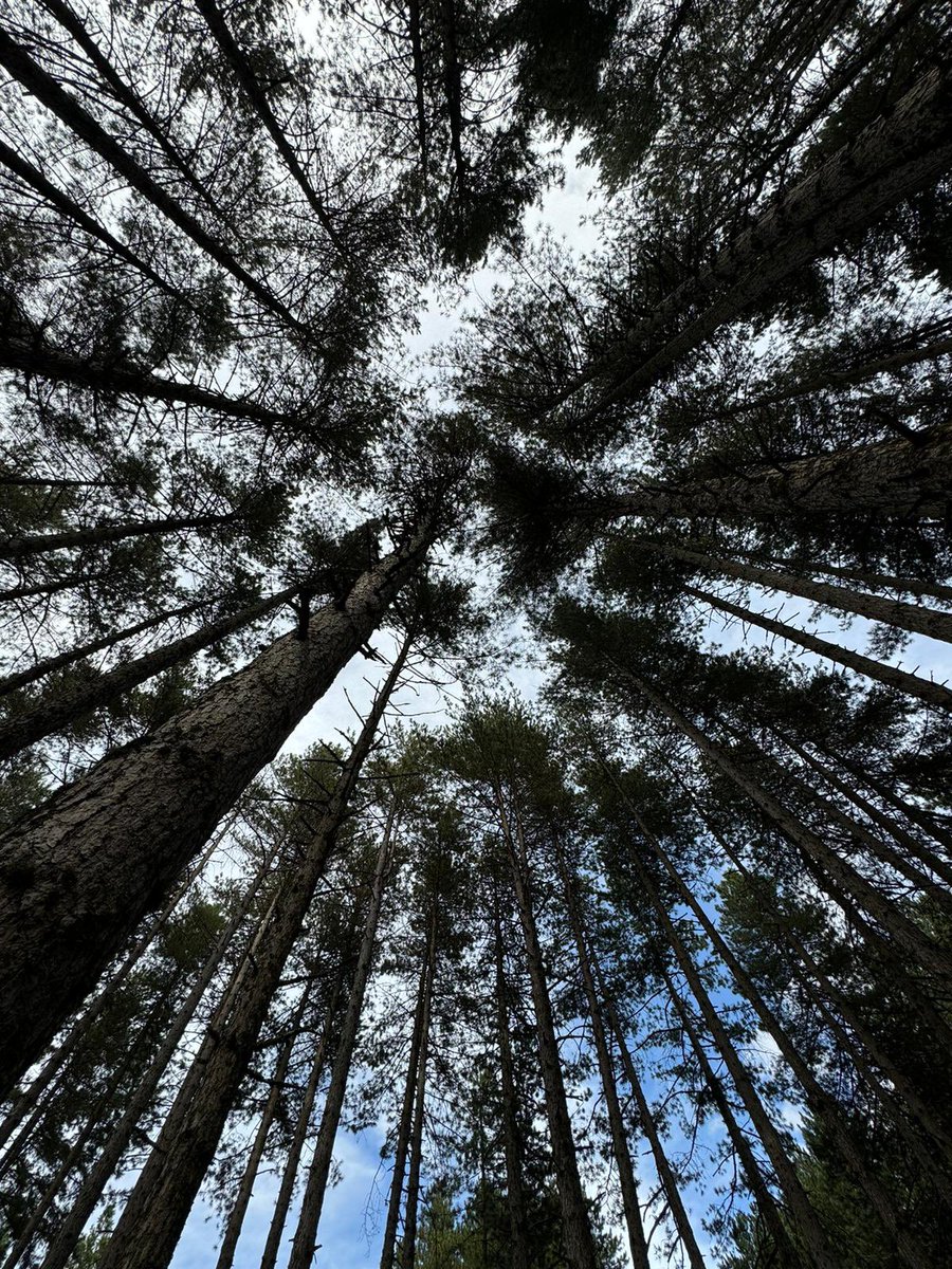 MartaDj1's tweet image. Chi ha detto che la Sardegna è solo mare? #MonteLimbara #Tempio foto mie.