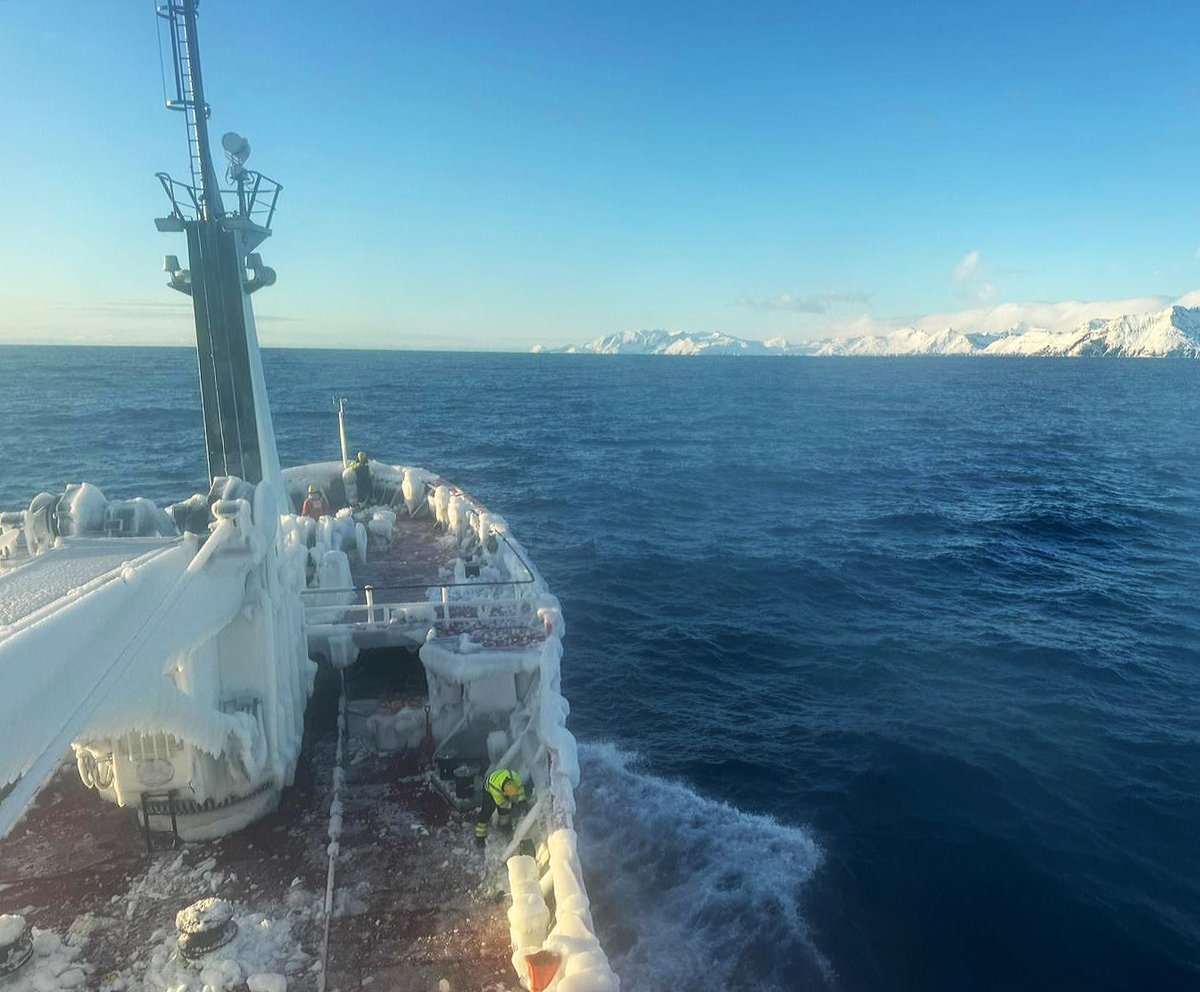 Navy Lookout tweet media